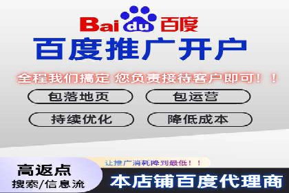 百度竞价赚钱的技巧与成功案例探讨